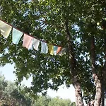 Casa vacanze Quinta D' Luzarcoiris Arganil