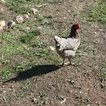 Quinta D' Luzarcoiris بيت للعطل أرغانيل