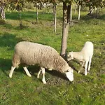 Quinta D' Luzarcoiris * Arganil
