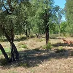 Casa vacanze Quinta D' Luzarcoiris