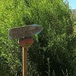 Quinta D' Luzarcoiris Arganil