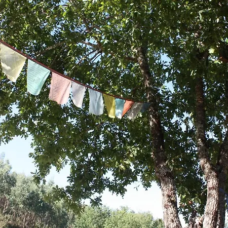 Hébergement de vacances Quinta D' Luzarcoiris Arganil