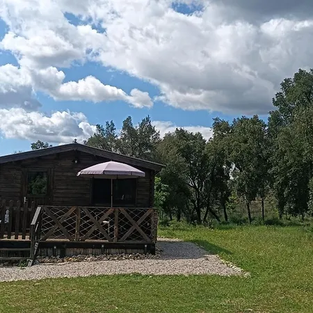 Дом отдыха Quinta D' Luzarcoiris Арганил