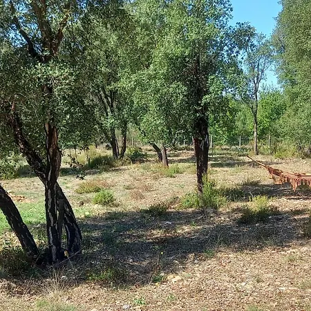 Holiday home Quinta D' Luzarcoiris