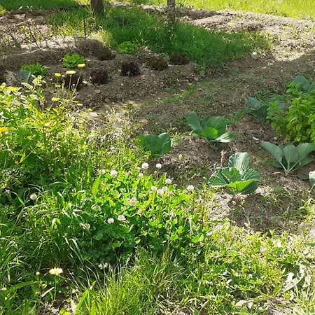 Quinta D' Luzarcoiris Casa de Férias *