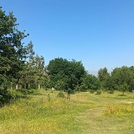 Quinta D' Luzarcoiris Дом отдыха *