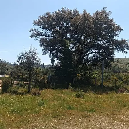 Quinta D' Luzarcoiris Дом отдыха Арганил