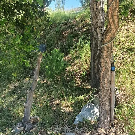 Quinta D' Luzarcoiris *