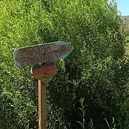 Quinta D' Luzarcoiris Arganil