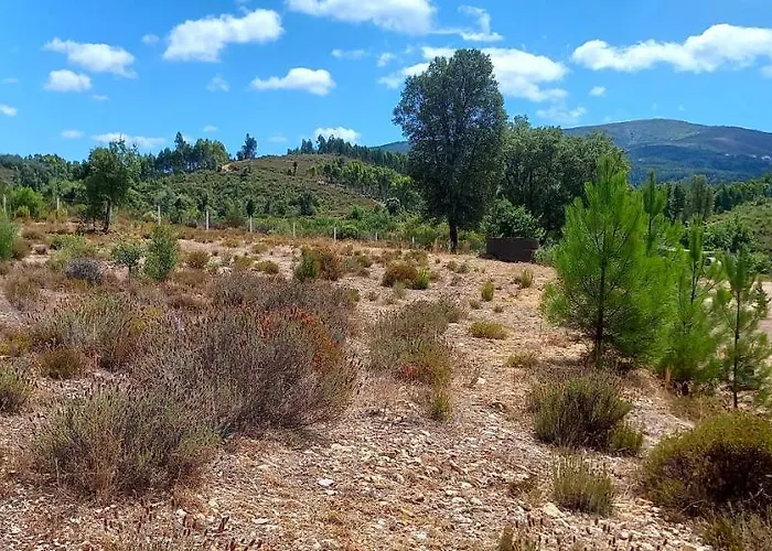 Quinta D' Luzarcoiris Tatil Evi Arganil