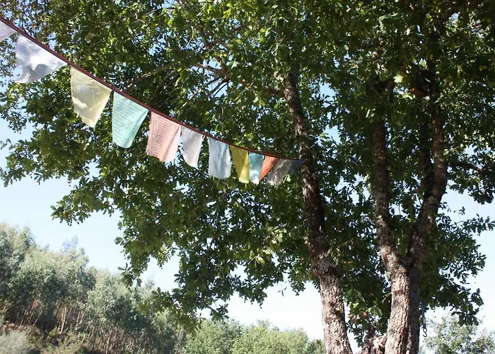 Nyaraló Quinta D' Luzarcoiris Arganil