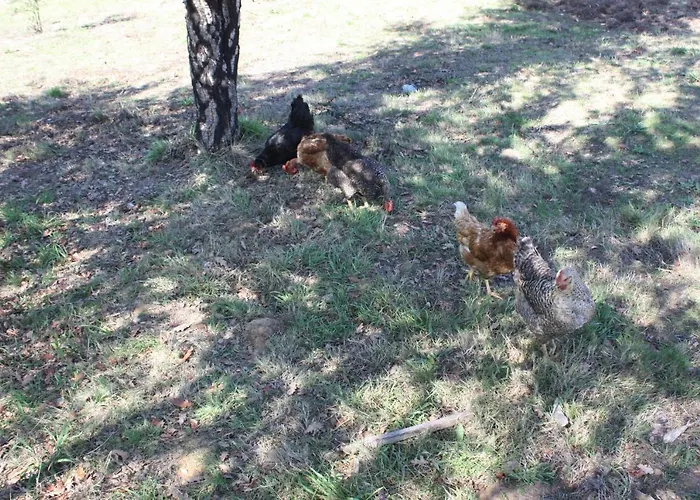 Quinta D' Luzarcoiris *