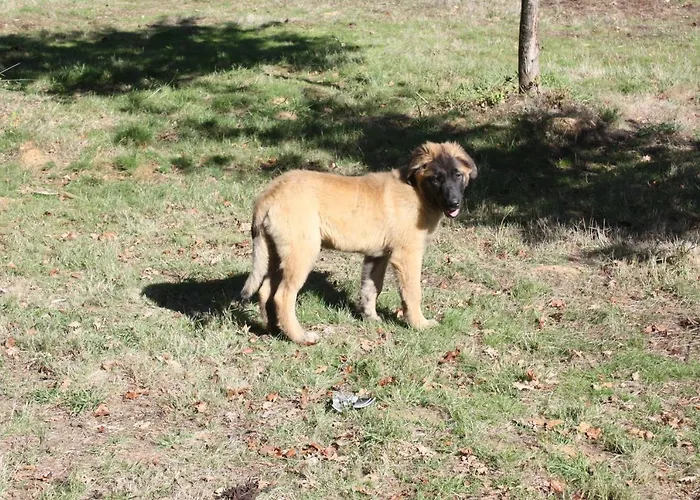 Quinta D' Luzarcoiris *