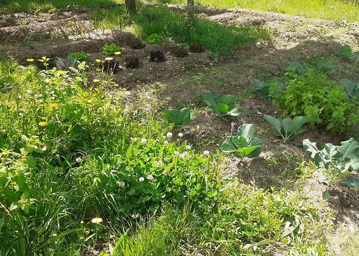 Quinta D' Luzarcoiris Tatil Evi *