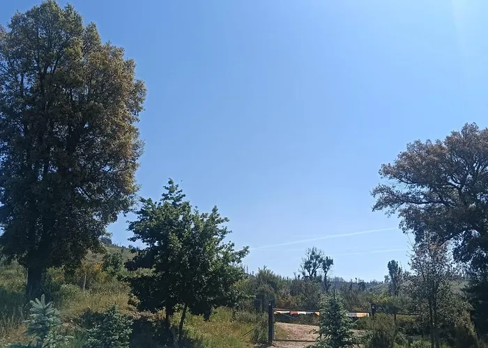 Quinta D' Luzarcoiris * ארגניל