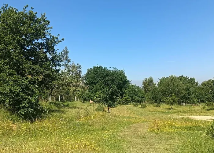 Quinta D' Luzarcoiris Hébergement de vacances *