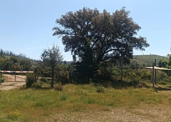 Quinta D' Luzarcoiris Nyaraló Arganil