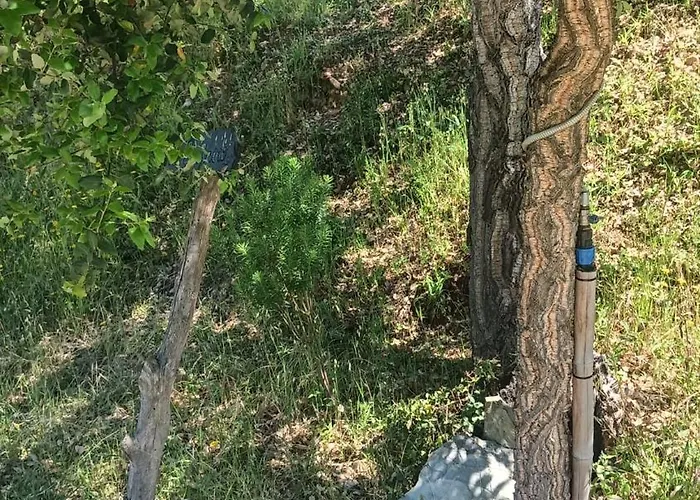 Quinta D' Luzarcoiris *