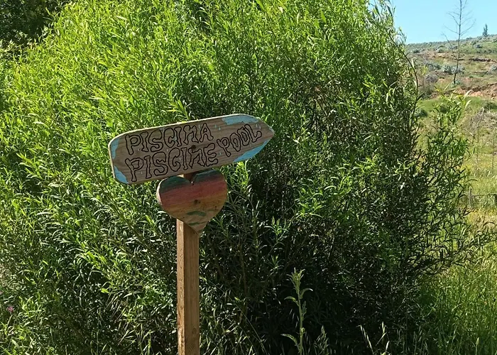 Quinta D' Luzarcoiris Arganil